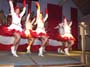 AKV-2011-Sa-050