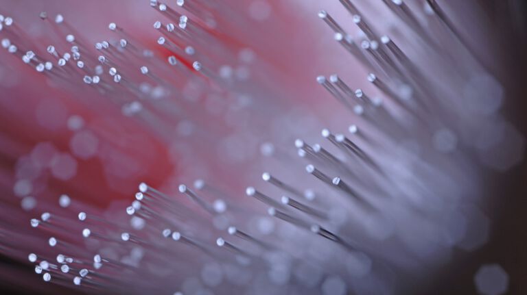 Glasfaser - Kommt Anreppen an das Highspeed-Netz?