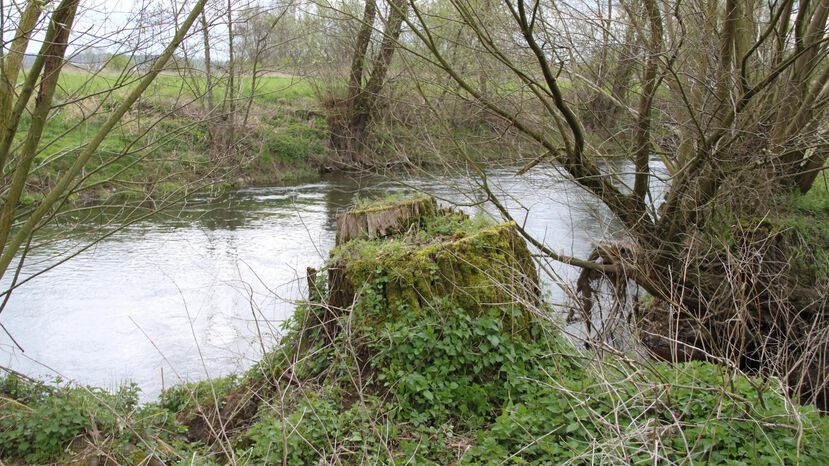 Schnatgang führte in den "Goldenen Westen"