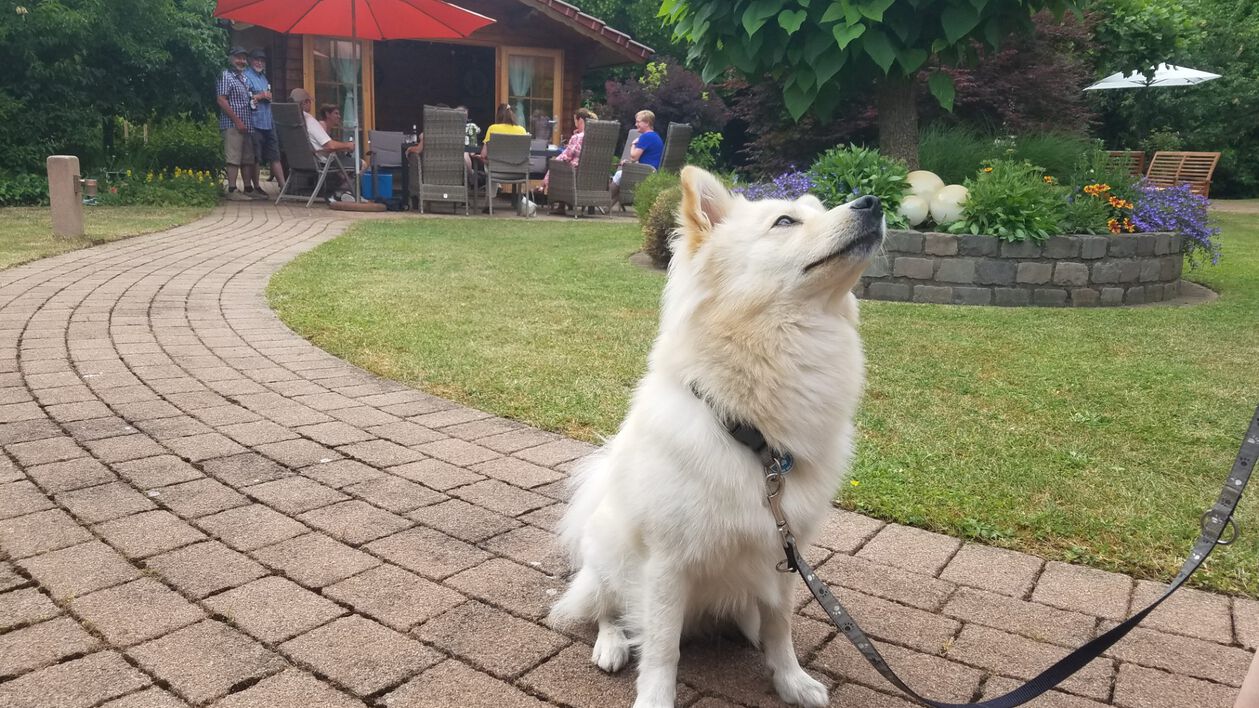 Gärten - Besuch auch Marsberg