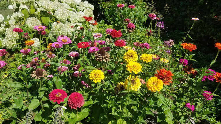 18.06.23: Tag der offenen Gärten