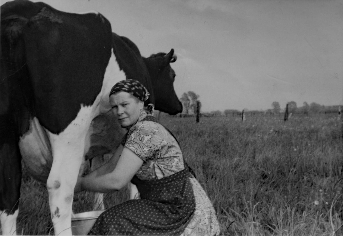 Landarbeit - melken