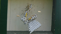 Vogelschießen in Anreppen am 9. Mai 2026