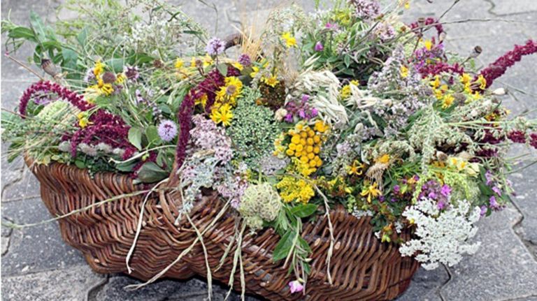 Herzliche Einladung zum Krautbundbinden