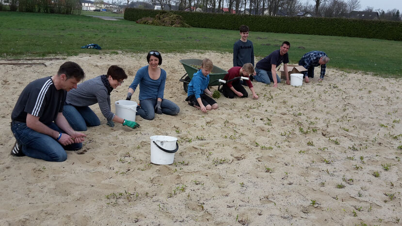 Anreppen packt an auf dem Volleyballfeld