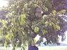 200309.jpg